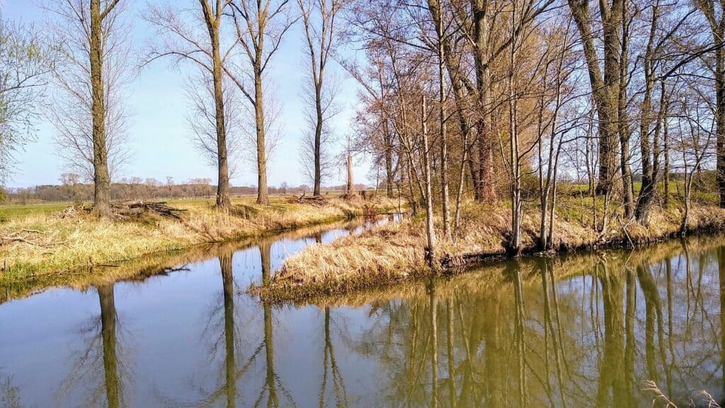 Flusse Mit S