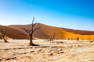 Land mit N - Namibia