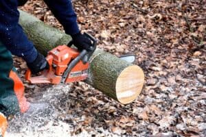 Beruf mit H am Anfang - Holzfäller